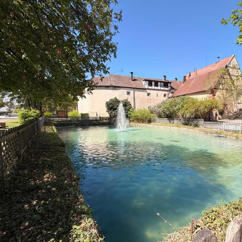 Ein Teich mit einem sprudelnden Springbrunnen ist umgeben von Bäumen und einem alten Gebäude mit rotem Dach im Hintergrund.