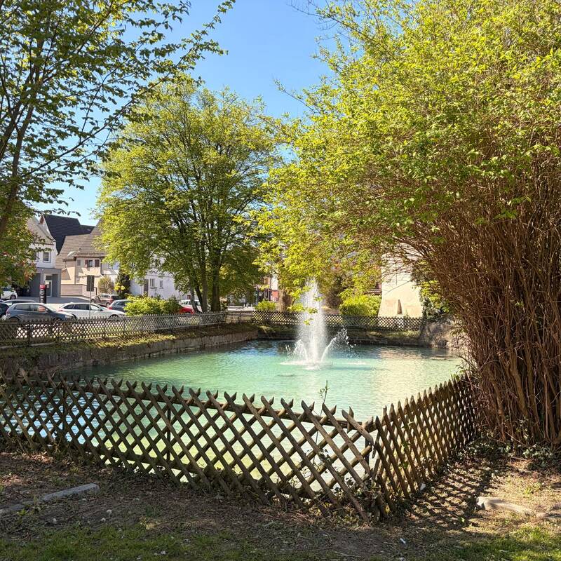 Ein kleiner rechteckiger Teich mit Springbrunnen ist von Bäumen und einem Holzgitter umgeben, während im Hintergrund Häuser und geparkte Autos sichtbar sind.