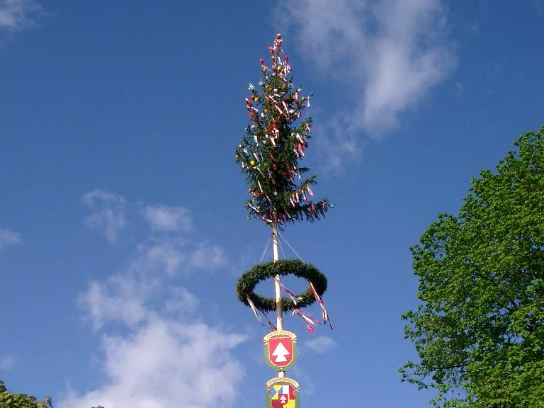 Ein hoher Maibaum mit bunten Bändern und Schildern steht vor einem blauen Himmel mit Wolken, umgeben von grünen Bäumen und einem Gebäude mit Ziegeldach.