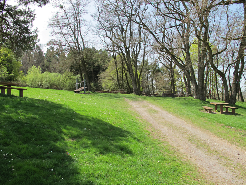 Eine sonnige Wiese mit einem unbefestigten Weg, umgeben von Bäumen und einigen Picknicktischen.