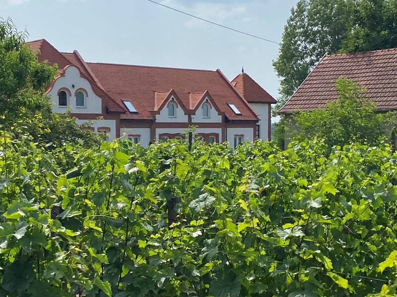 Ein traditionelles Gebäude mit rotem Ziegeldach steht hinter einem üppigen Weinberg.