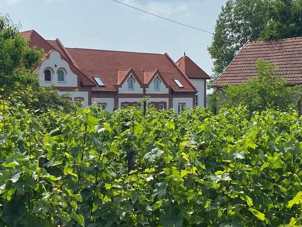 Ein traditionelles Gebäude mit rotem Ziegeldach steht hinter einem üppigen Weinberg.