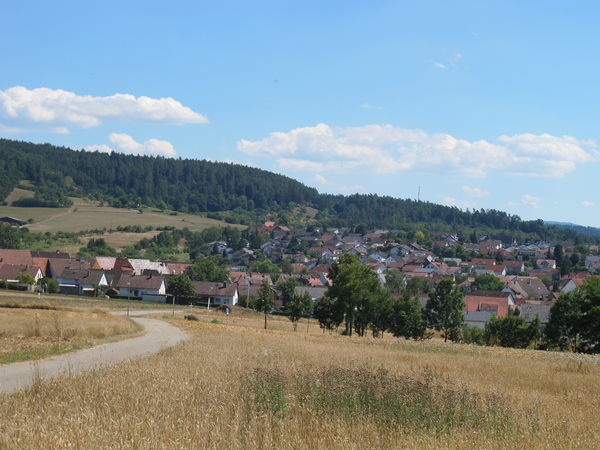 Ein Weg führt durch ein goldenes Feld in Richtung eines kleinen Dorfes mit roten Dächern, umgeben von dichten Wäldern.