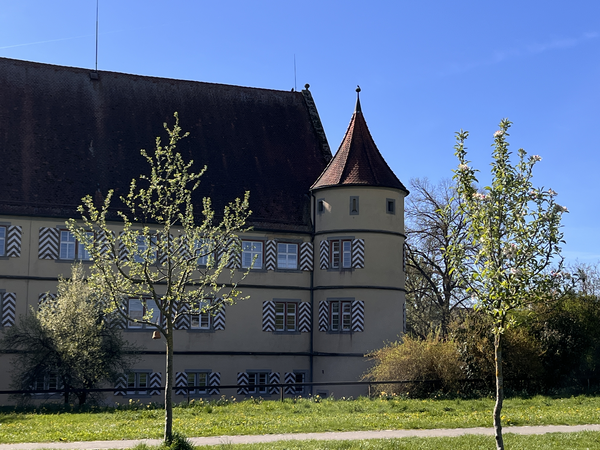 Ein historisches Gebäude mit einem runden Turm und gemusterten Fensterläden steht hinter blühenden Bäumen, unter einem klaren blauen Himmel.