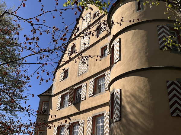 Ein historisches Gebäude mit beige-gelblichen Fassaden, vielen rechteckigen Fenstern und diagonalen Mustern an den Fensterläden ist von blühenden Ästen umgeben.