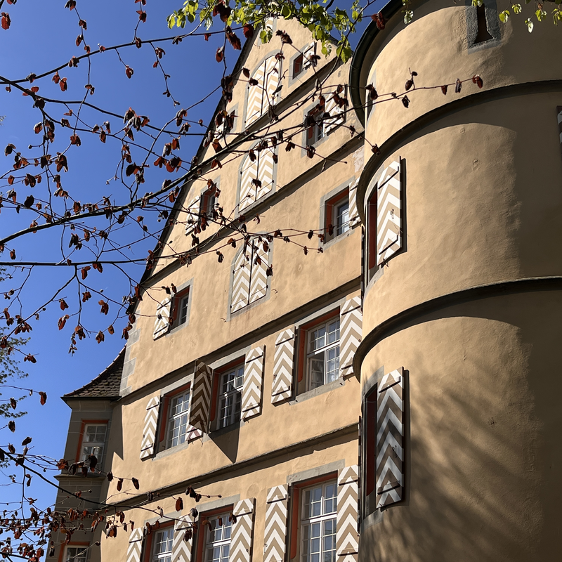 Ein historisches Gebäude mit gelber Fassade und dekorativen Fensterläden wird von Zweigen mit knospenden Blättern eingerahmt.